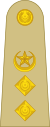 Colonel