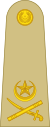 Lieutenant General