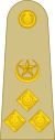 Brigadier