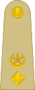 Lieutenant Colonel